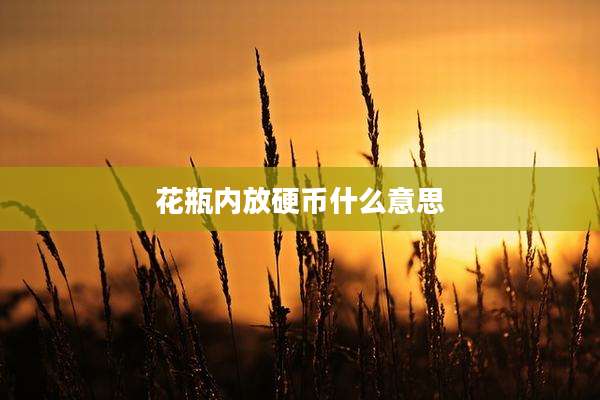 花瓶内放硬币什么意思