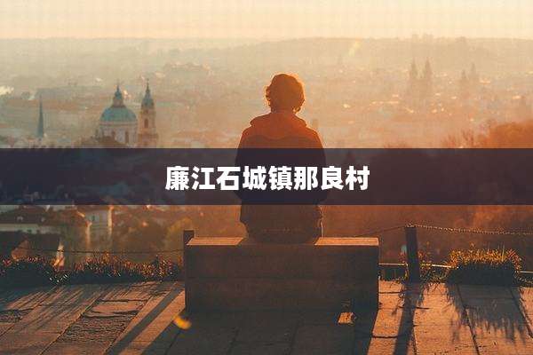 廉江石城镇那良村