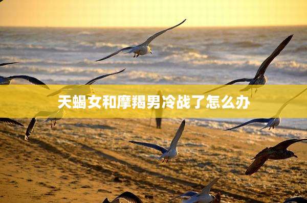 天蝎女和摩羯男冷战了怎么办