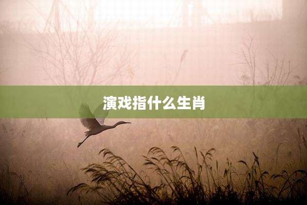 演戏指什么生肖