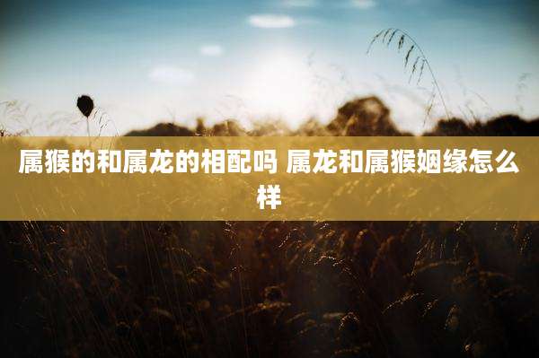 属猴的和属龙的相配吗 属龙和属猴姻缘怎么样