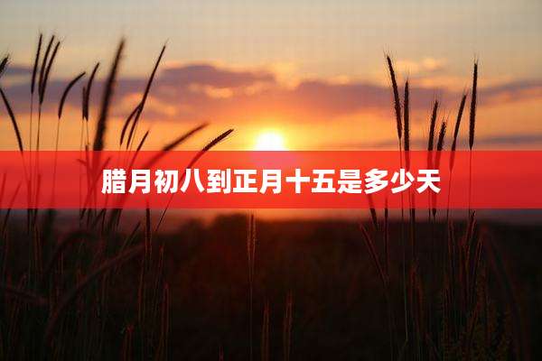 腊月初八到正月十五是多少天