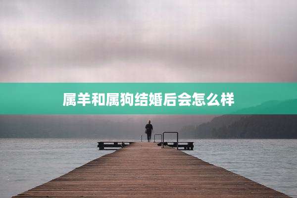 属羊和属狗结婚后会怎么样