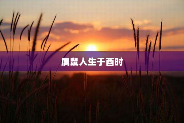 属鼠人生于酉时