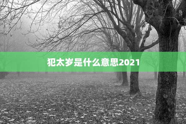 犯太岁是什么意思2021