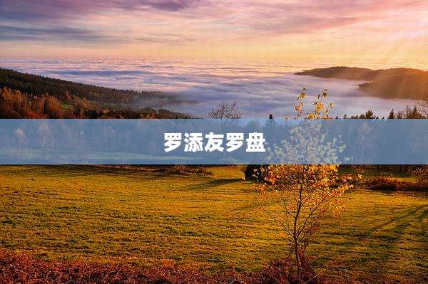 罗添友罗盘