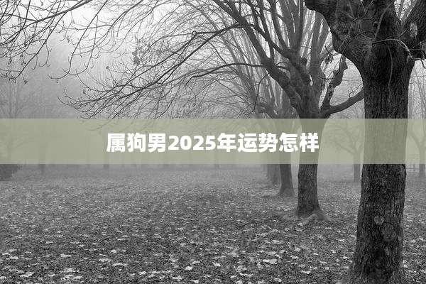 属狗男2025年运势怎样