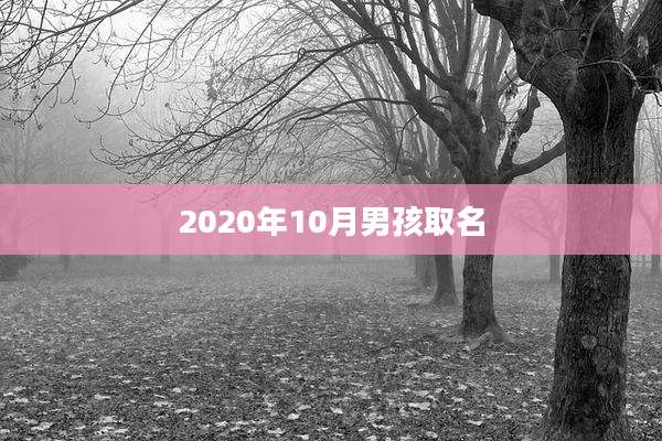 2020年10月男孩取名