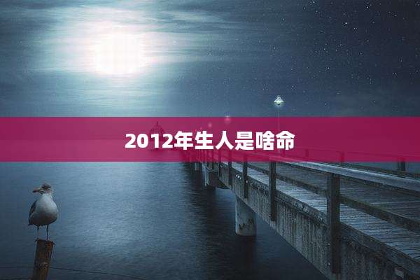 2012年生人是啥命
