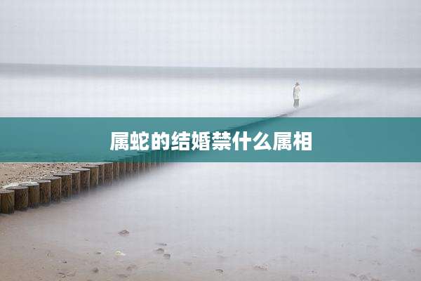 属蛇的结婚禁什么属相