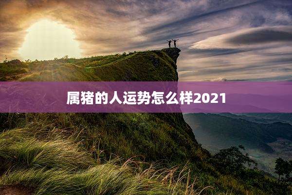 属猪的人运势怎么样2021