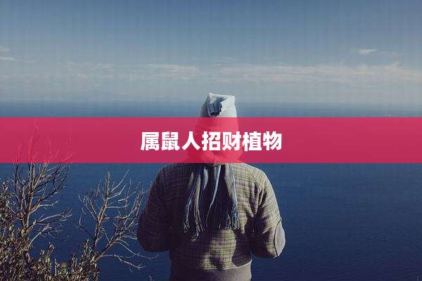 属鼠人招财植物