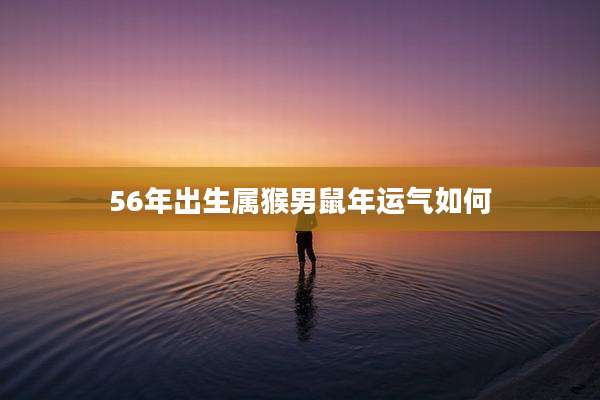 56年出生属猴男鼠年运气如何