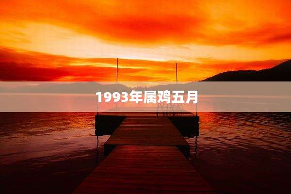 1993年属鸡五月