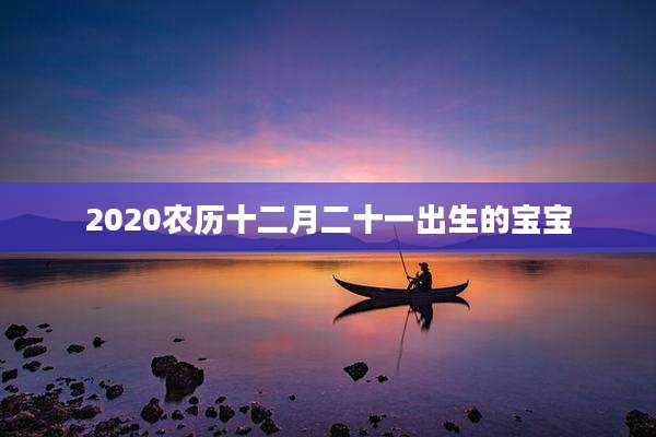 2020农历十二月二十一出生的宝宝