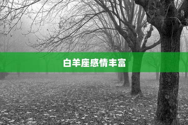 白羊座感情丰富