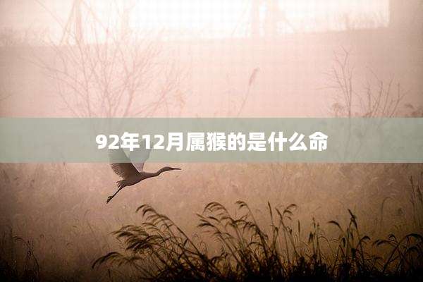 92年12月属猴的是什么命