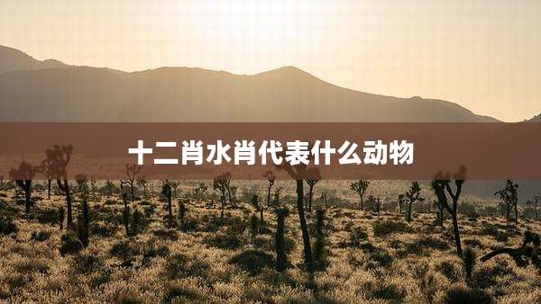 十二肖水肖代表什么动物