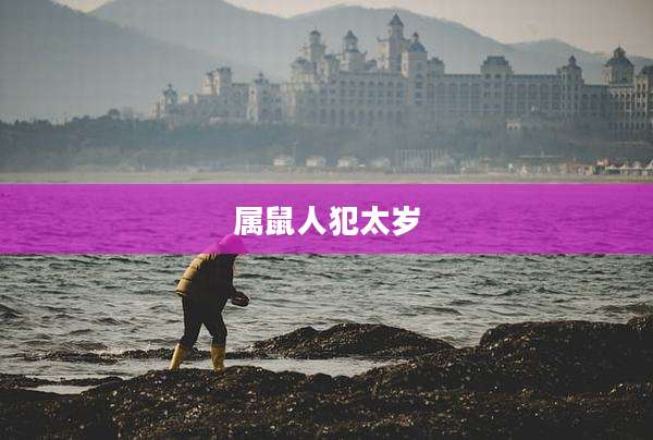 属鼠人犯太岁