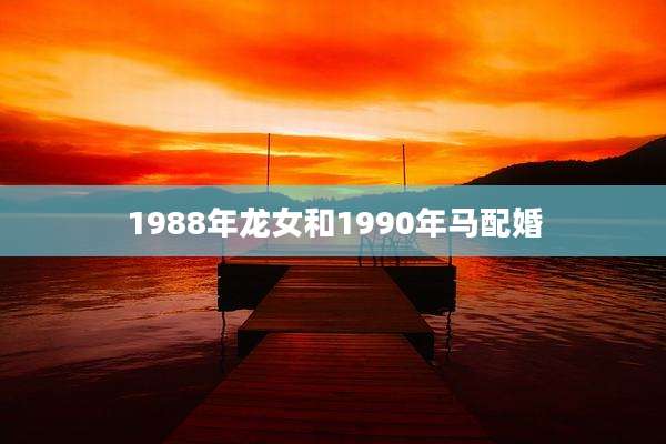 1988年龙女和1990年马配婚