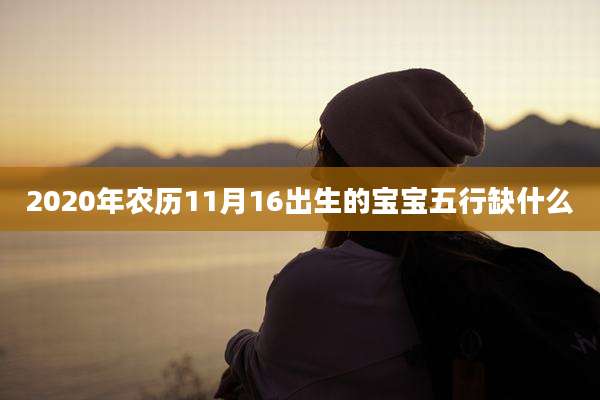 2020年农历11月16出生的宝宝五行缺什么