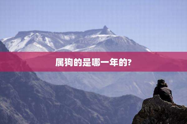 属狗的是哪一年的?