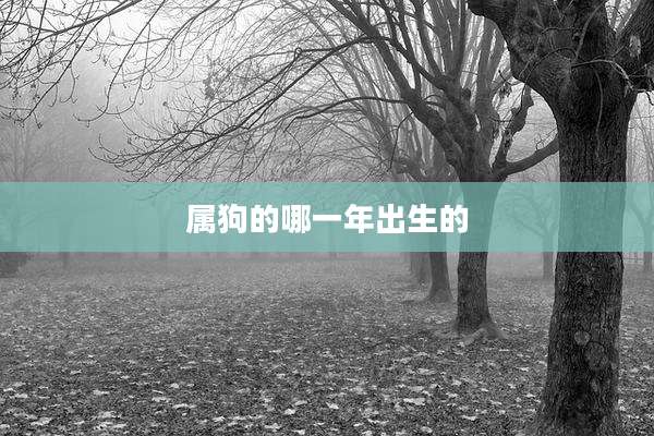 属狗的哪一年出生的