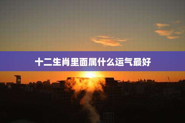 十二生肖里面属什么运气最好