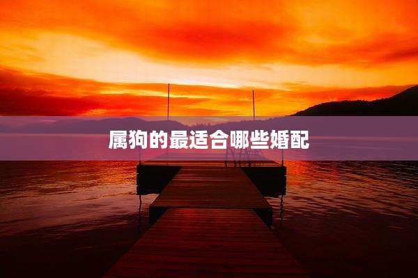 属狗的最适合哪些婚配