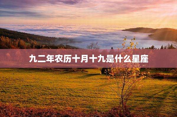 九二年农历十月十九是什么星座
