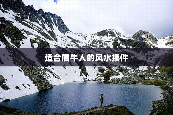 适合属牛人的风水摆件
