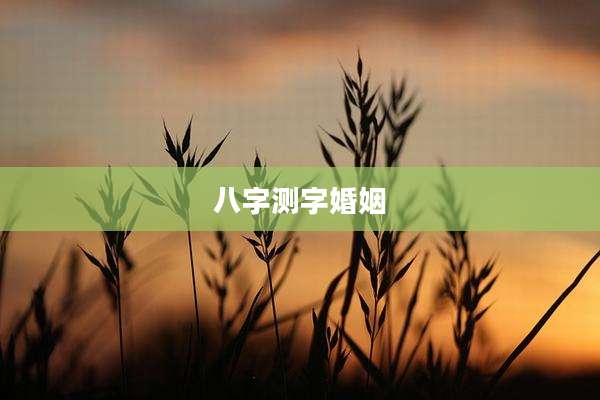 八字测字婚姻