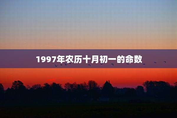 1997年农历十月初一的命数