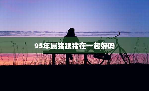 95年属猪跟猪在一起好吗