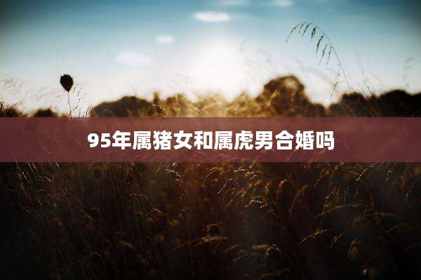 95年属猪女和属虎男合婚吗