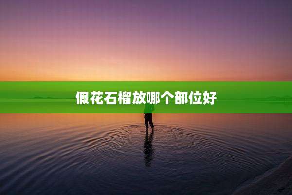 假花石榴放哪个部位好