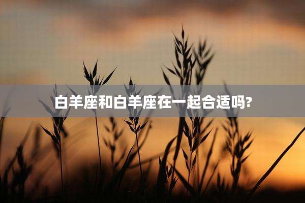 白羊座和白羊座在一起合适吗?