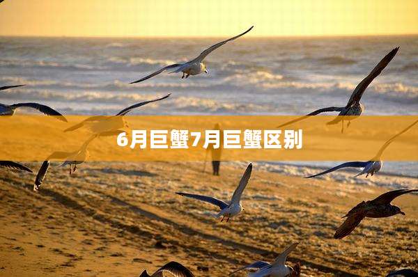 6月巨蟹7月巨蟹区别