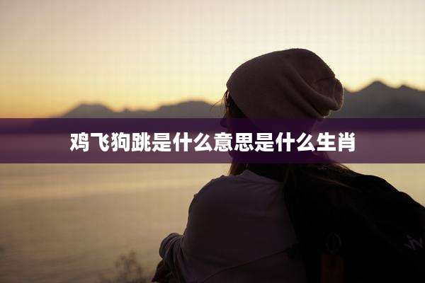 鸡飞狗跳是什么意思是什么生肖