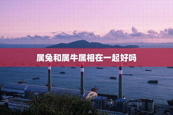 属兔和属牛属相在一起好吗