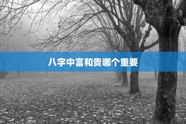 八字中富和贵哪个重要