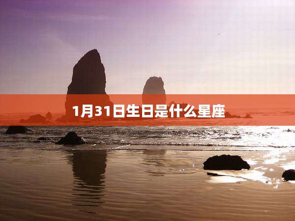 1月31日生日是什么星座