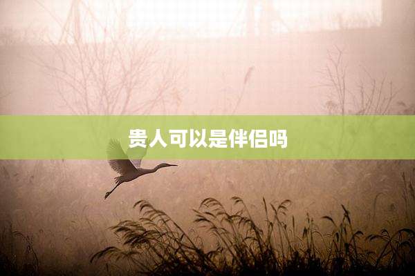 贵人可以是伴侣吗