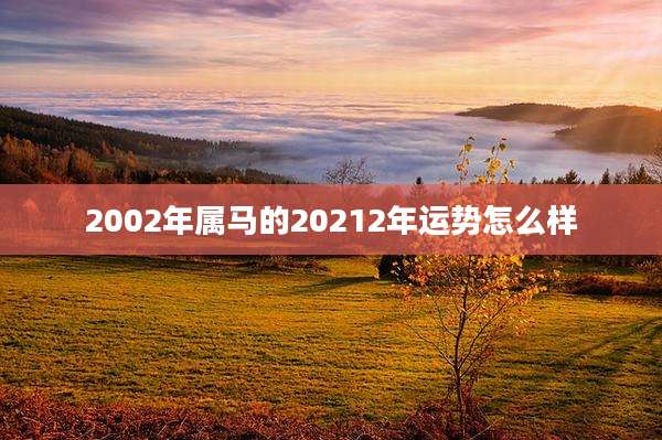 2002年属马的20212年运势怎么样