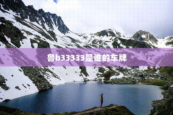 鲁b33333是谁的车牌
