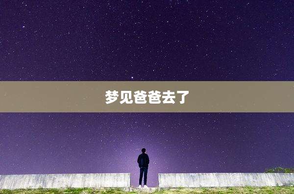 梦见爸爸去了