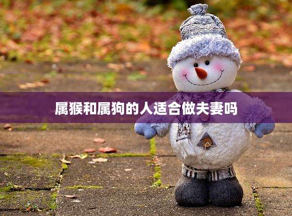 属猴和属狗的人适合做夫妻吗