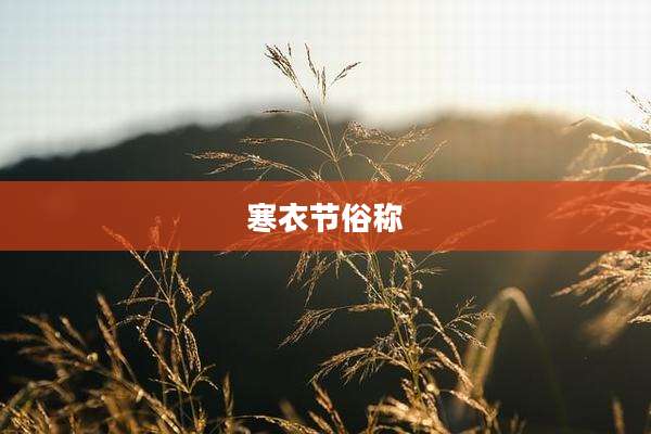 寒衣节俗称