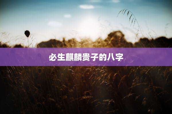 必生麒麟贵子的八字