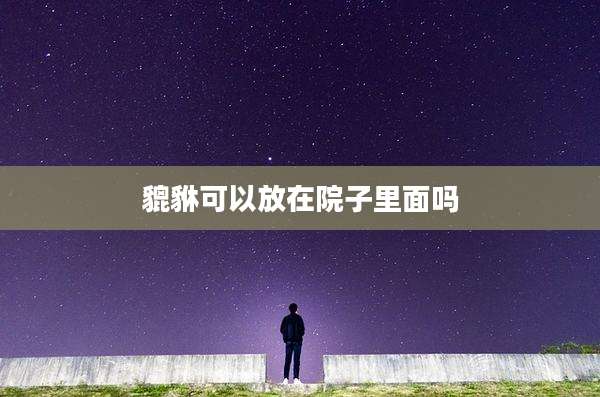 貔貅可以放在院子里面吗